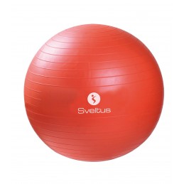 GYM BALL 55CM