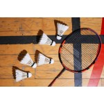 Badminton / Tennis de table